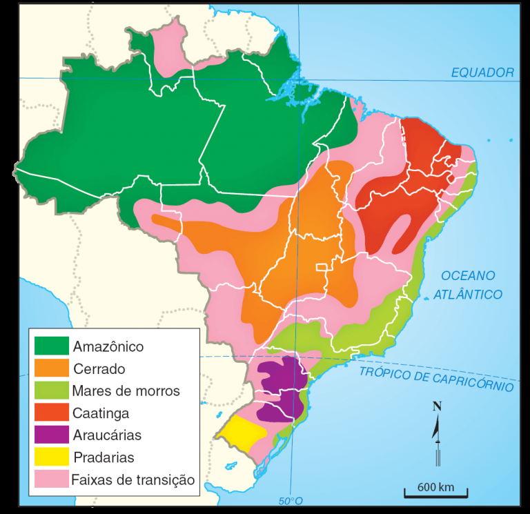 A Evolução Da Vegetação No Brasil Altamontanha 6376