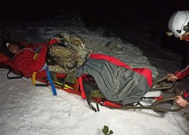 Cão salva montanhista após acidente em montanha da Croácia